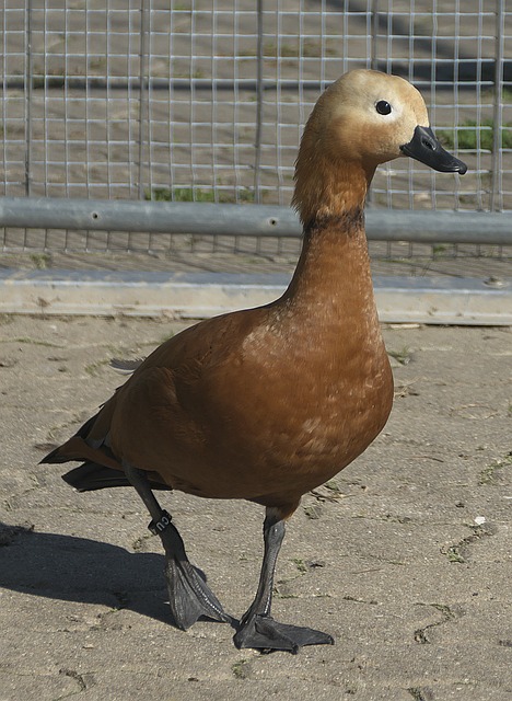 位一