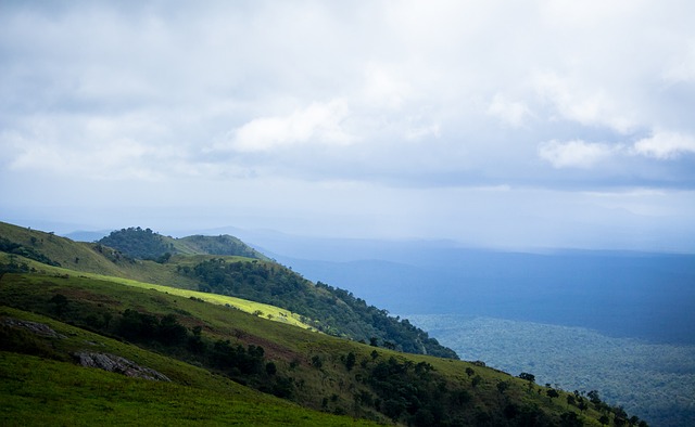 的兴趣无疑 的兴趣无疑