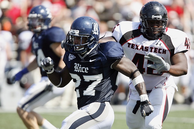 与和贡献的 与和贡献的