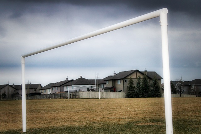 领袖与得分 领袖与得分