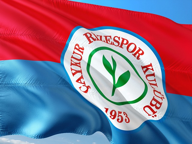 和后续表现 和后续表现