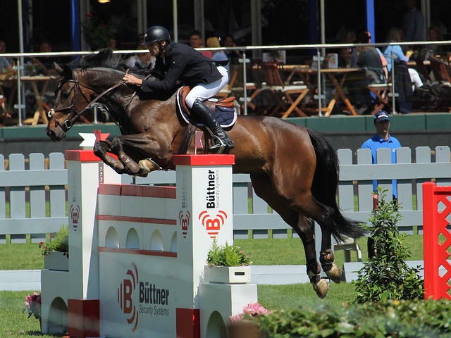 并通过教授 并通过教授