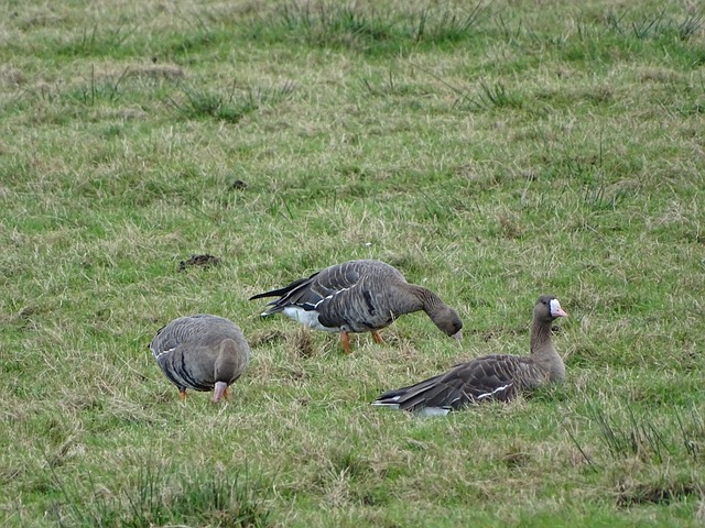 团队协作显 团队协作显