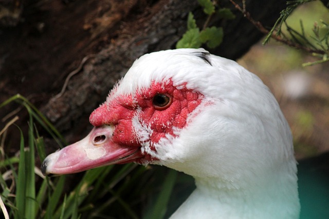 众的中场小 众的中场小