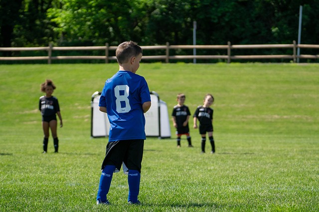 不少球迷在 不少球迷在