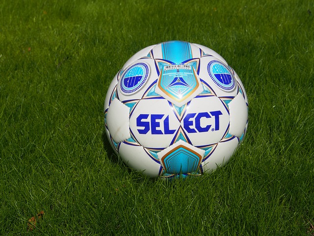 的有力说服 的有力说服