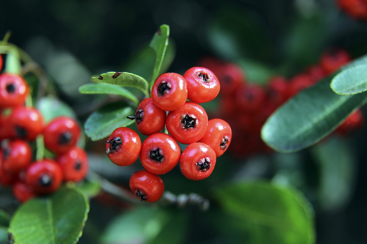 三分线外也 三分线外也